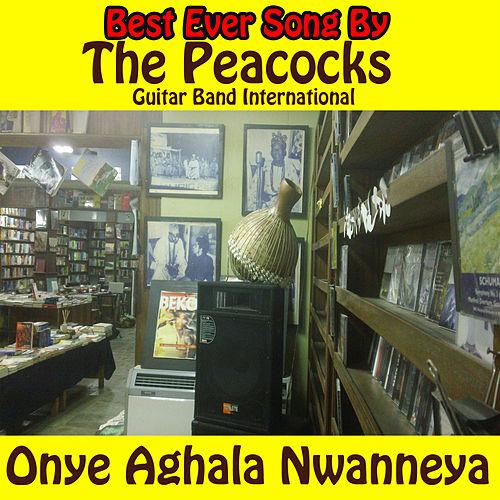 Peacock Guitar Band International