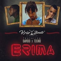 Erima  Feat Davido & Tekno
