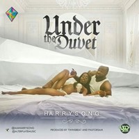 Under The Duvet