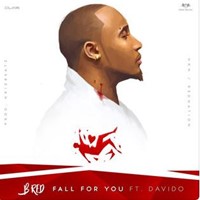 Fall For You (Feat. Davido)