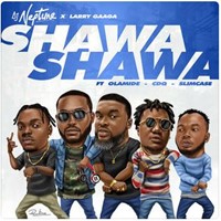 Shawa Shawa (Feat. Larry Gaaga, Olamide, Cdq & Slimcase)