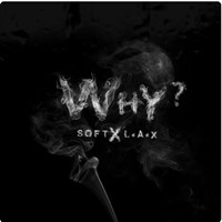 Why (Feat. L.A.X)