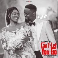Can't Let You Go (Feat. King Promise)