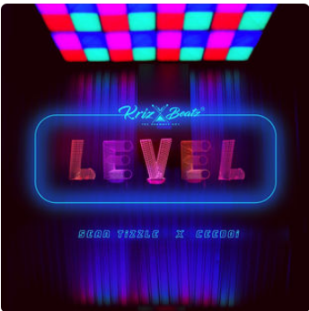 Level (Feat. Ceeboi & Sean Tizzle)