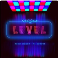 Level (Feat. Ceeboi & Sean Tizzle)
