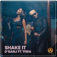 Shake It (Feat. Tiwa Savage)