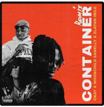 Container (Remix) [Feat. Moonchild Sanelly & Zlatan Ibile]