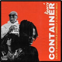 Container (Remix) [Feat. Moonchild Sanelly & Zlatan Ibile]