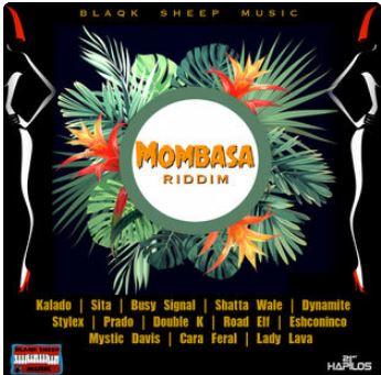 Lights, Camera, Action