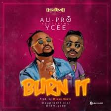 Au-Pro Ft Ycee - Burn It