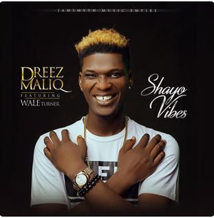 Dreezmaliq - Shayo Vibes (Feat. Wale Turner)