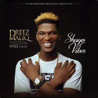 Dreezmaliq - Shayo Vibes (Feat. Wale Turner)