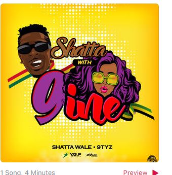 Shatta With 9