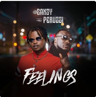 Saxzy - Feelings (Feat. Peruzzi)