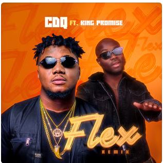 Flex Remix (Feat. King Promise)