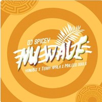 Dj Spicey Ft Nu Wave (Feat. Yung6ix, Terry Apala & Maleeq Souls)