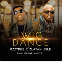 Ozzybee - Wig Dance (Feat. Zlatan Ibile)