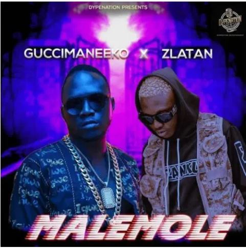 Guccimaneeko Ft. Zlatan - Malemole