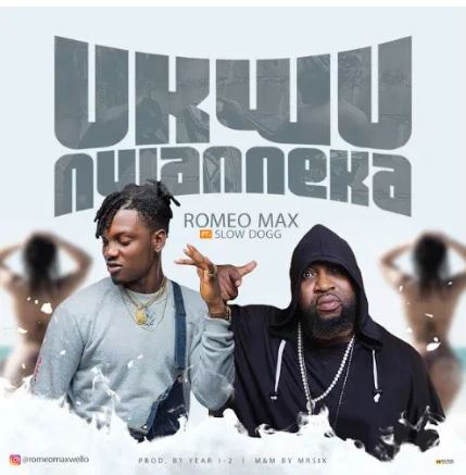 Romeo Max - Ukwu Nwanneka Ft. Slow Dogg
