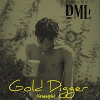 Gold Digger (Freestyle)