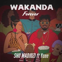 Wakanda Forever Ft. Ycee