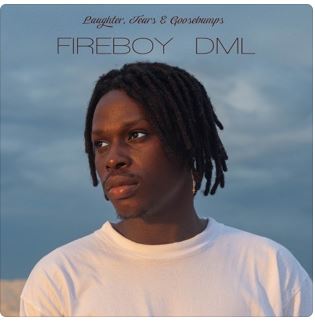 Laughter, Tears & Goosebumps