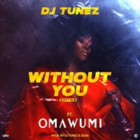Without You (Remix) Ft. Omawumi