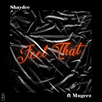 Shaydee – Feel That Ft. Mugeez