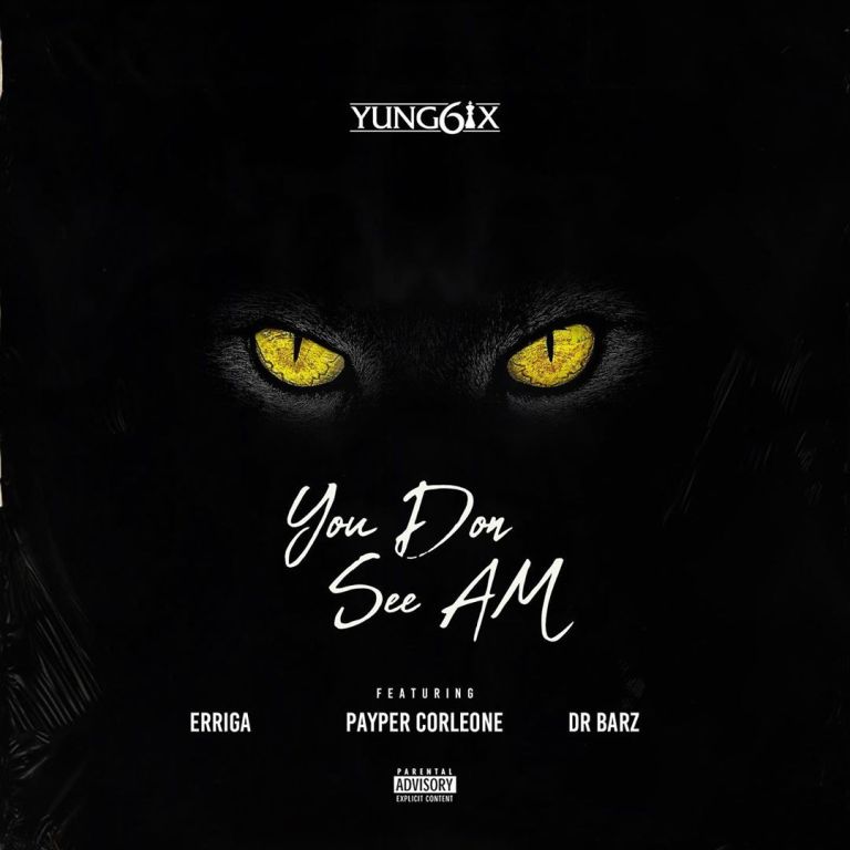 You Don See Am Ft. Erigga, Payper Corleone, Dr Barz